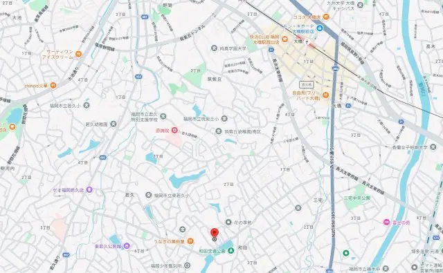福岡市南区和田4丁目 新築戸建 写真（5枚目）