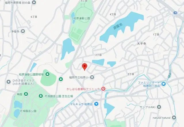 福岡市南区大平寺2丁目 新築戸建 写真（5枚目）